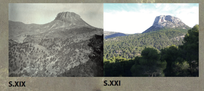 Sierra Espuña antes y despues